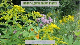 Under-Loved Native Plants Webinar 2020