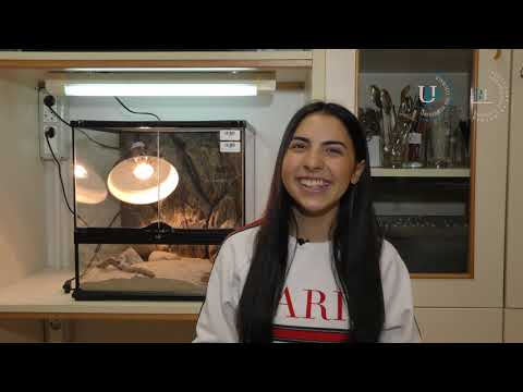 UP PEF: Erasmus experiences in Koper