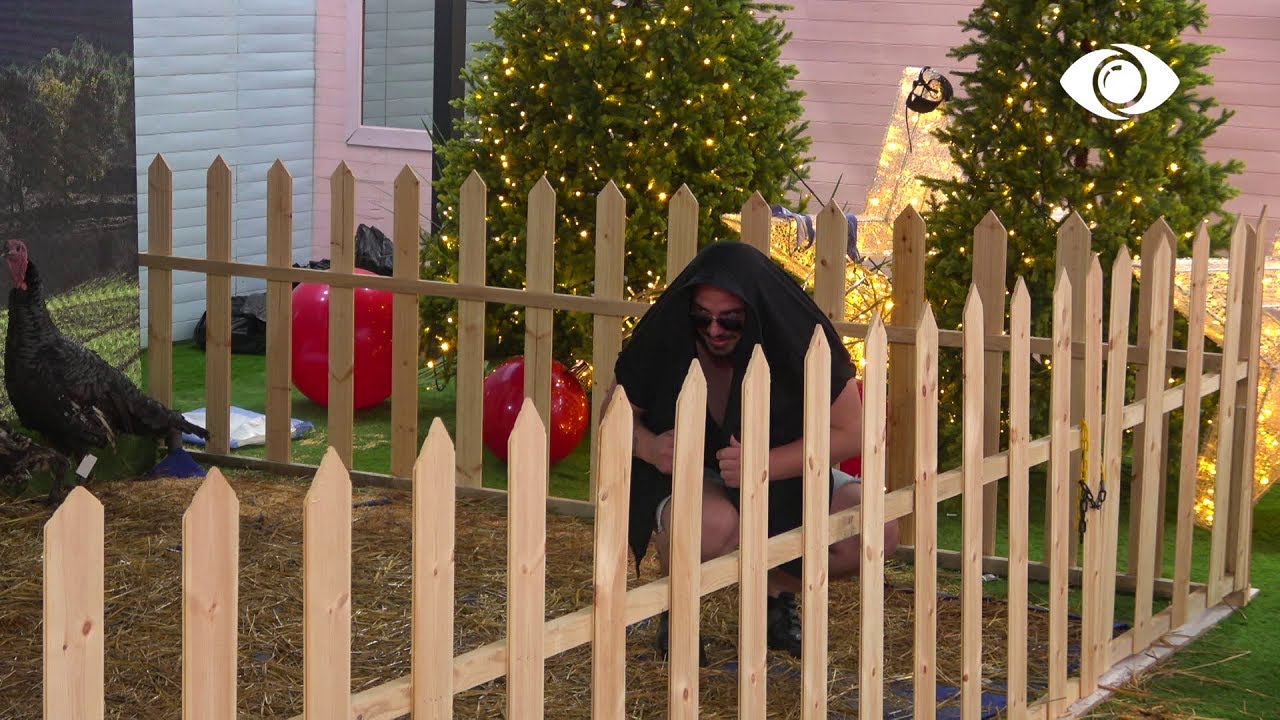 Bëj si pulë!/ A do ta kryejë dënimin e tij Ronaldo?