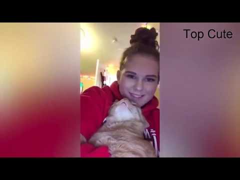 Funny dogs and cats chemistry 2019