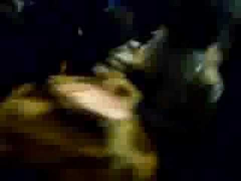 Carnevale a viareggio