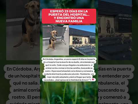 Esperó 25 días en la puerta del hospital... y encontró una nueva familia