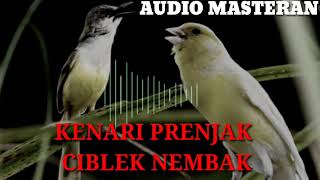 Download lagu Audio  KOMBINASI KENARI, PRENJAK, CIBLEK NGEBREN cocok untuk MASTERAN burung LOMBA mp3
