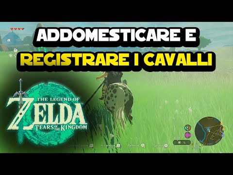 Come addomesticare e registrare i cavalli su The Legend of Zelda: Tears of the Kingdom