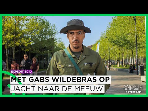 De Meeuw | Expeditie010