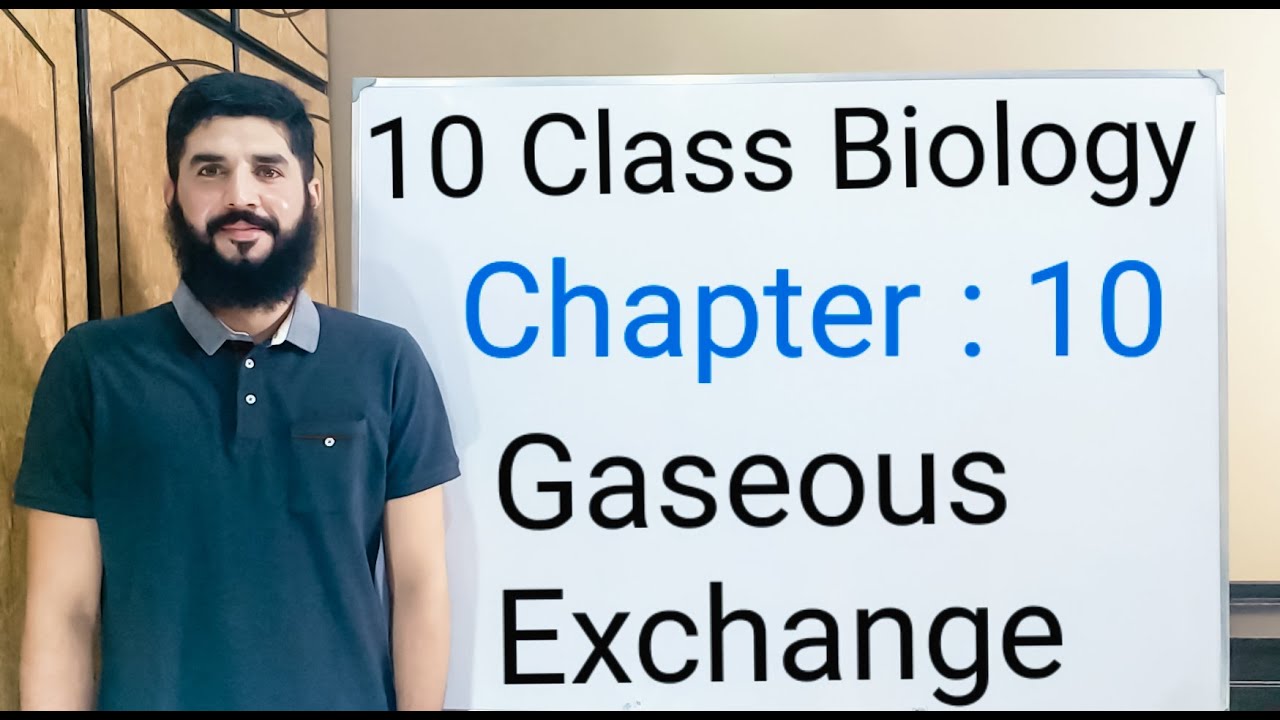 Introduction to Gaseous Exchange