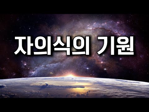 '나'라는 의식은 어디로부터 오는가? 세계 최고 천재 뇌과학자의 설명