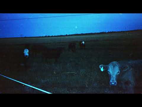 Video thumbnail for Orphan Child