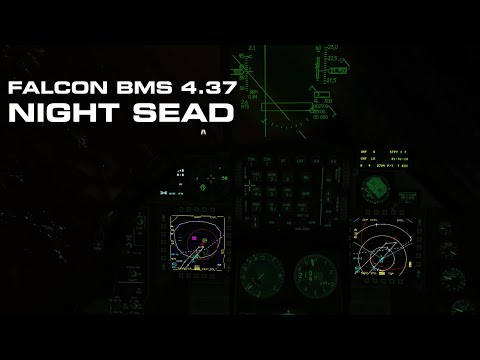 Falcon Bms Graphics Mod Steam Community :: Video :: Falcon BMS 4.37 • Night SEAD