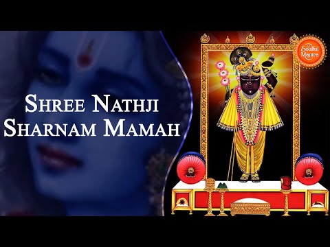 Shreenathaji Sharnam Mamah Dhun શ્રીનાથજી શરણં મમ | Shreenath Ji Bhajan | Bhakti Song