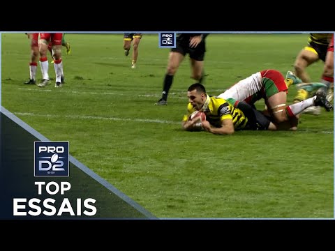 TOP Essais de la J19 – PRO D2 – Saison 2024-2025