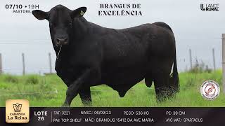 LOTE 26  3221