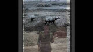 Elegy For The Missing