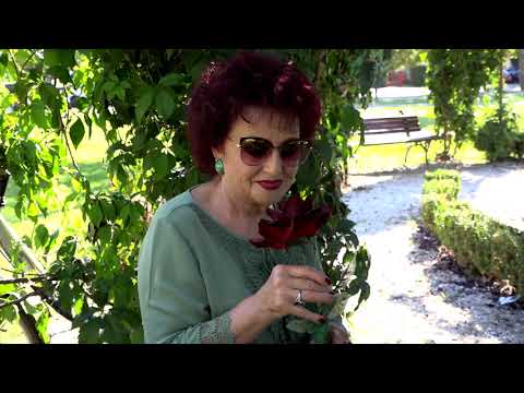 Slavčo & Brezite   Ti Mi Trebas