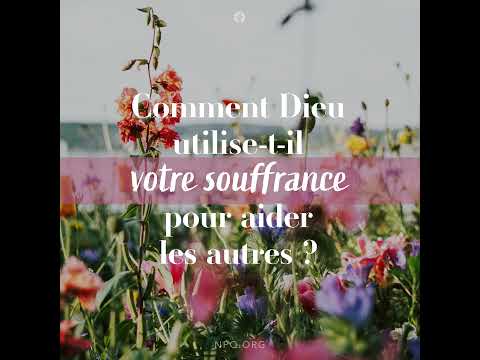 Video: Aucune souffrance gaspillée
