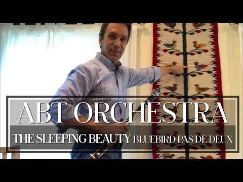 Orchestral Performance: THE SLEEPING BEAUTY Bluebird Pas De Deux