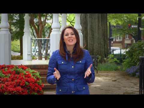 GDOT Stormwater Management Program