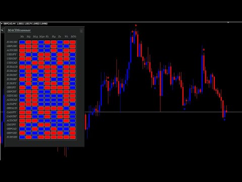 Video MACD Scanner Dashboard