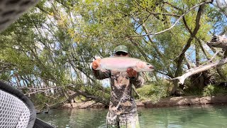 Catching a Big Rainbow Trout On a Broken Fly Rod
