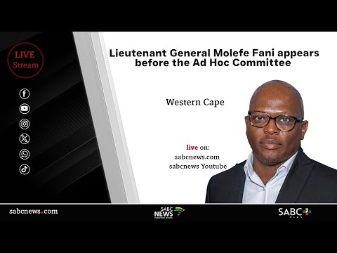Parliament Ad Hoc Committee |  Lieutenant General Molefe Fani
