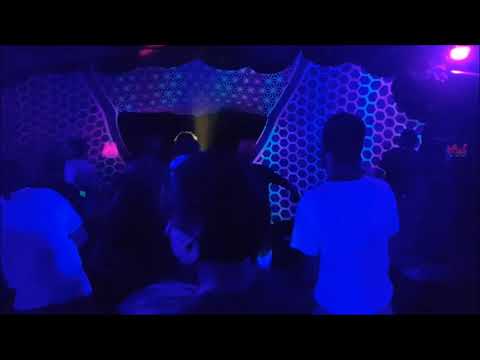 Ziqada @ Secret Forest Open Air 2019 - 2/3