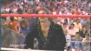 Rick Rude&#39;s WWF debut