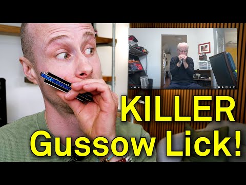 Learn your favourite blues harmonica licks!