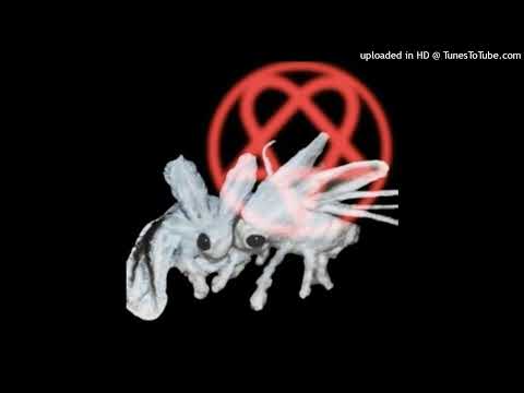 lungskull + 2shanez + swampkill type beat