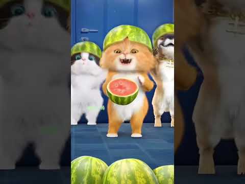 DuDi DuDi Dam Dam❣️😍#trendingvideo #viralvideo #trendingshorts