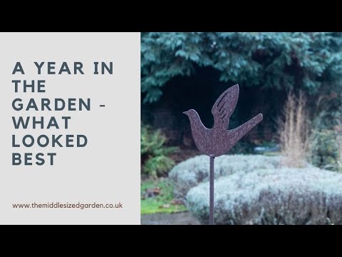 Early winter garden tour + garden highlights throughout the year