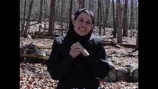 Best Marriage proposal  Treasure Box   💍😍