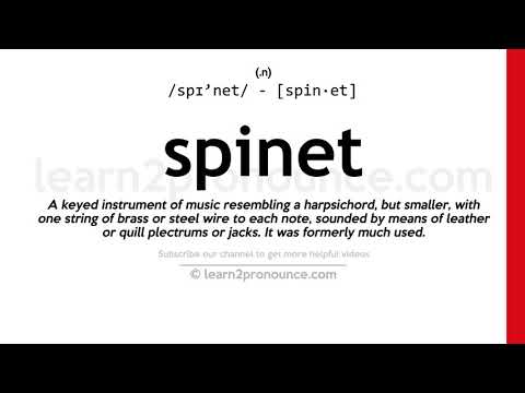 Pronunciation of Spinet | Definition of Spinet
