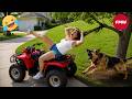 Funny Videos Try Not To Laugh Funny Fails Compilation People Failing Hilariously 203