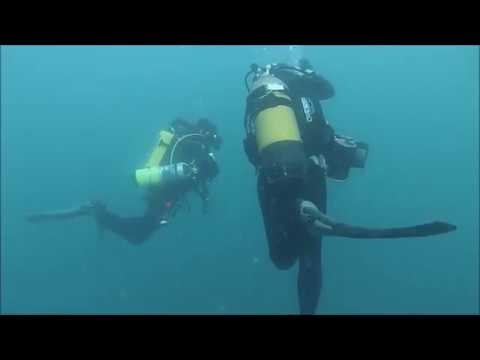 Des trésors sous la mer