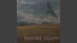 Cover art for Perfect Storm