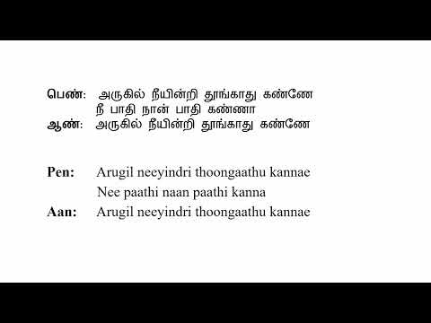 Nee Paathi Naan Paathi Kanne Karaoke