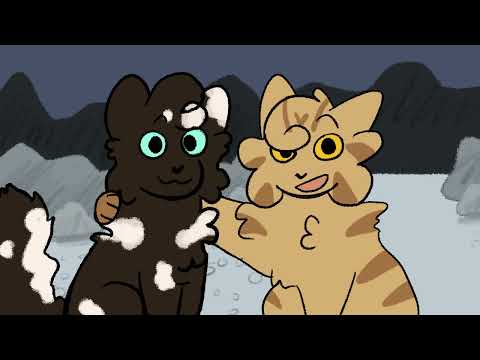 Meet the Medicine Cats