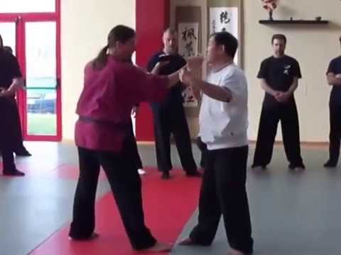 Tui Shou Yang lin Sheng