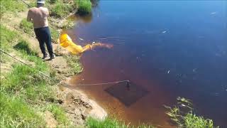 Рыбалка в кингисеппе на луге