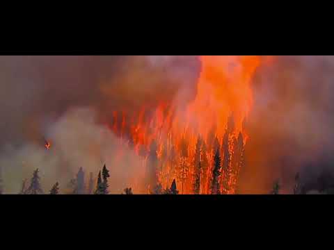 Galway Arts Centre  Mountain Language