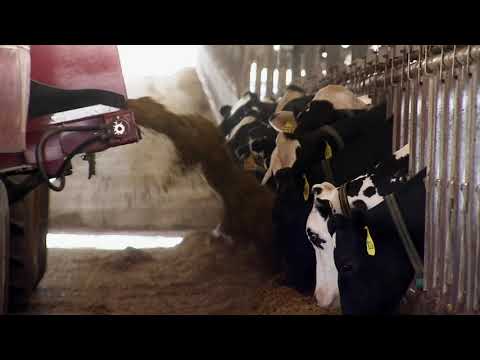 Rađanje zemlje - Nahranimo milione - Ponedjeljak 17:05