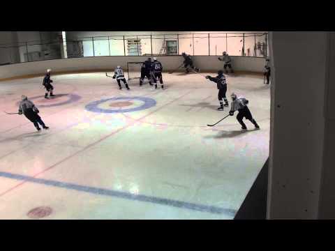 PHL 2014 Warriors - Pantterit B