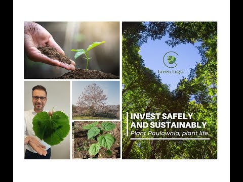 YouTube video about: What is meant by the phrase plants are green factories?