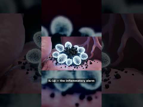 PM2.5 Lung Cancer Short