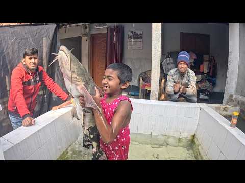 Aquarium: Kids Making Fun Catching Big Fish & Tortoise