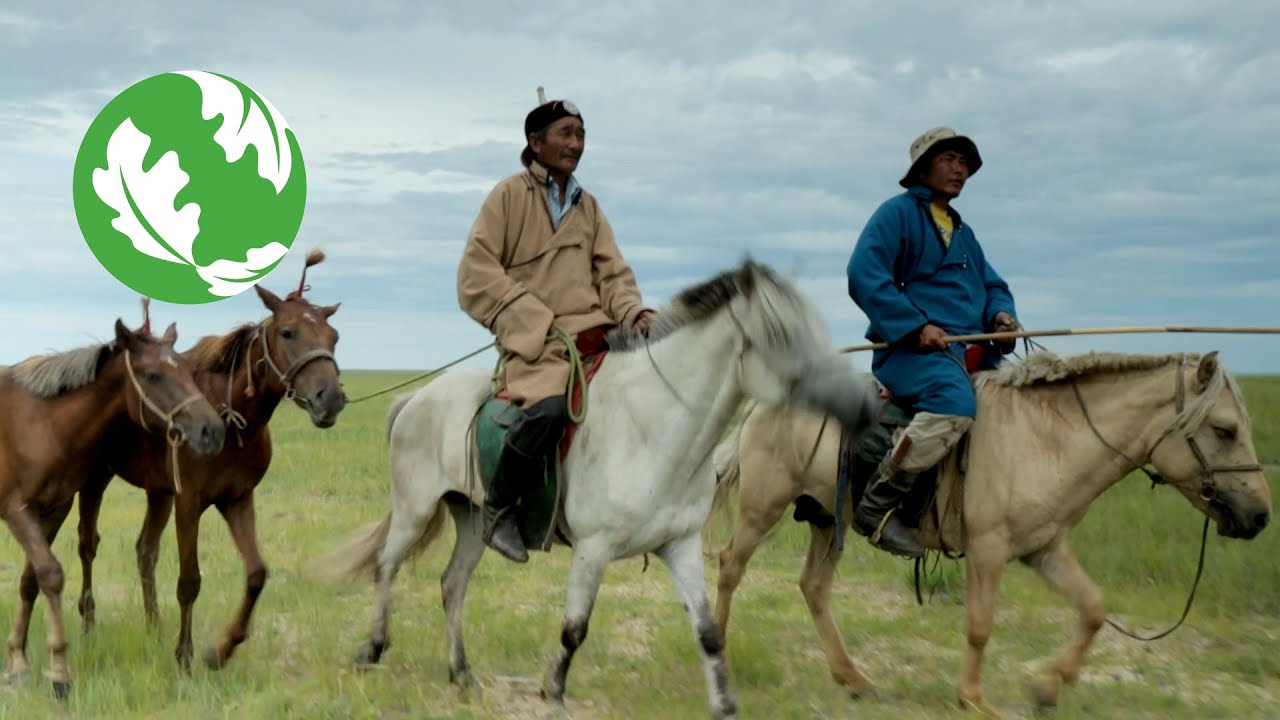 Enduring Earth: Protecting Mongolia’s Grasslands
