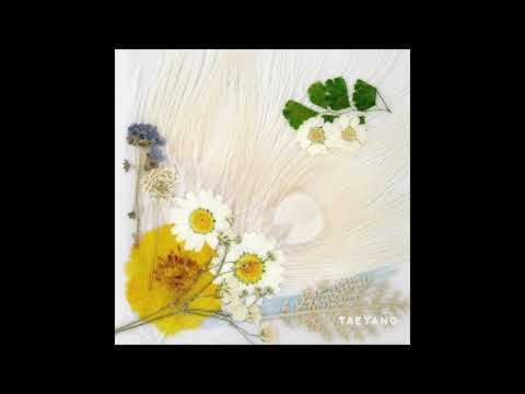 TAEYANG- AMAZING+ ENG LYRICS