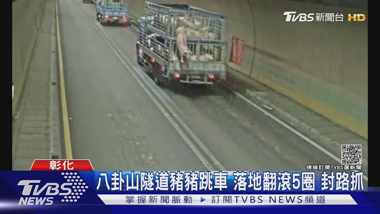 八卦山隧道豬豬跳車 落地翻滾5圈封路抓