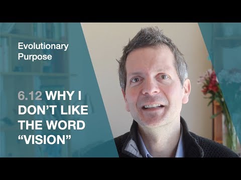 6.12 Why I don't like the word "vision" (Evolutionary purpose)