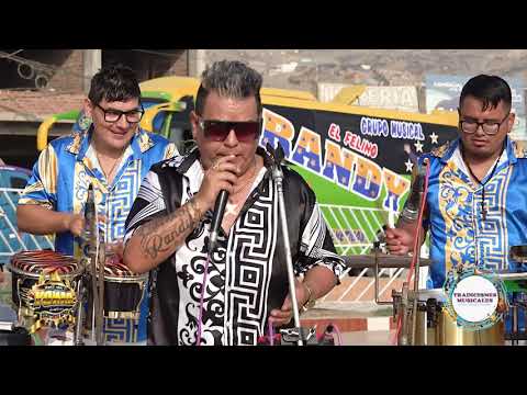 EL FELINO RANDY - JUGASTE CON MI CARIÑO , BRINDO POR ELLA